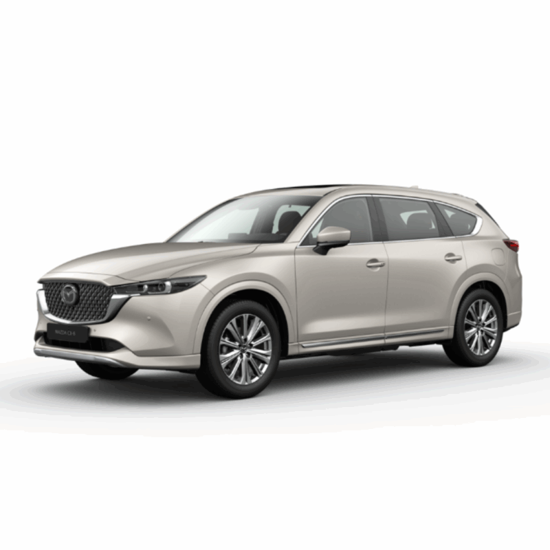 Mazda CX-8 2.5L Luxury